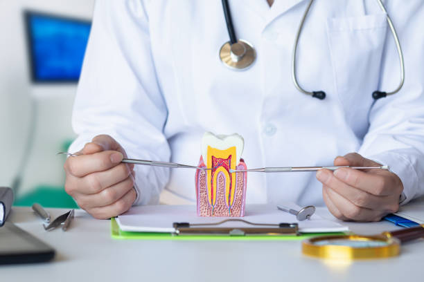 Best Walk-In Emergency Dentist in Jefferson, WI